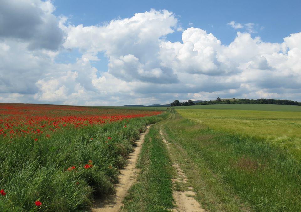 A Tornyos Haz Csardamajor Bagian luar foto